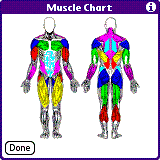 MySportTraining v3.3.0