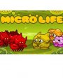 Microlife  Flash