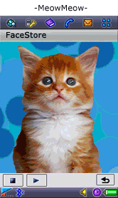 FaceStore Messaging v4.42