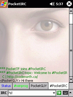 Pocket IRC
