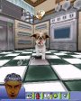 The Sims 2 Pets  N-Gage