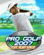 Pro Golf 2007