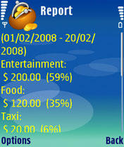Expenses Yellow report with large font size
