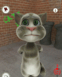 Talking Tom Cat  Android OS