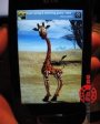 Talking George The Giraffe  Android OS