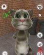 Talking Tom Cat  iOS
