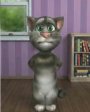 Talking Tom v1.00  Windows Mobile 5.0, 6.x for Pocket PC