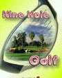 3D Nine Hole Golf v1.0x для Windows Mobile 5.0, 6.x for Pocket PC