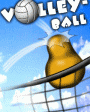 Volleyball v1.2 для Windows Mobile 5.0, 6.x for Pocket PC