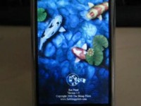   Koi Pond  Apple iPhone