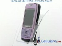   Samsung SGH-E250