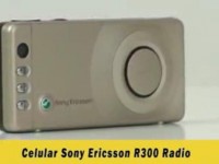   Sony Ericsson R300