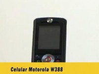   Motorola W388