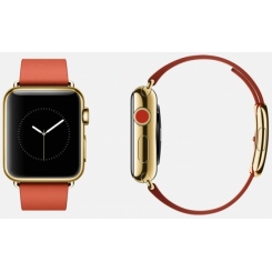 Apple Watch Edition -  5