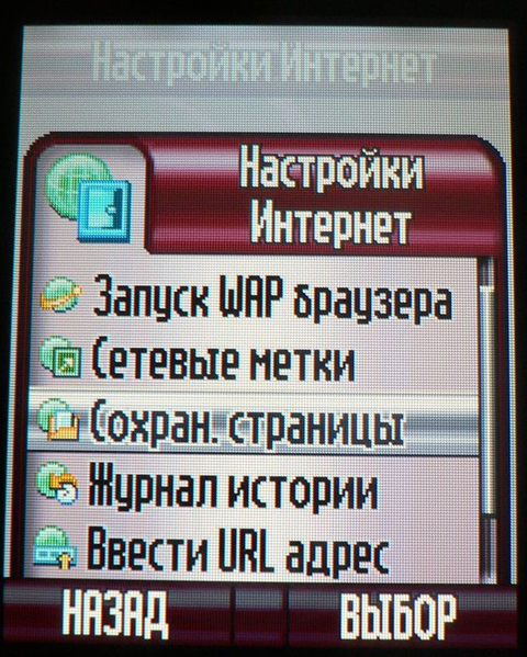 Motorola SLVR