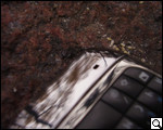 Nokia E71: QWERTY-технологичность
