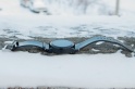 Смарт-часы NO.1 S10: 35 долларов за полезный и стильный аксессуар — фото 3