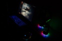 Обзор Cougar Bunker RGB: удобный держатель кабеля с подсветкой и USB-хабом — фото 3