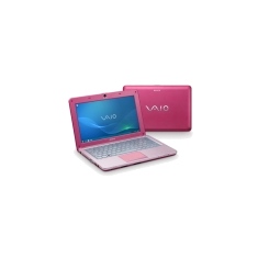 Sony VAIO W21