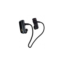 Sony Walkman NWZ-W252