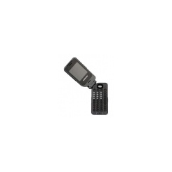 Samsung SGH-P110