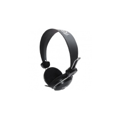 Ritmix RH-504