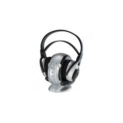 Ritmix RH-701
