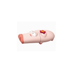 iMicro RB-PIG 2Gb