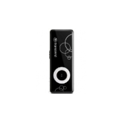 Transcend T-Sonic 300 4GB
