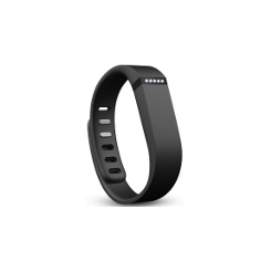 Fitbit Flex