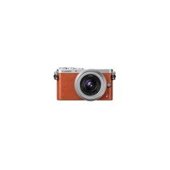 Panasonic LUMIX DMC-GM1