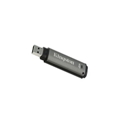 Kingston DataTraveler VP 1Gb