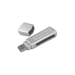 Kingston DataTraveler EliteP 2Gb