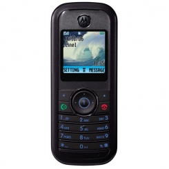 Motorola W205