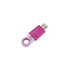 SanDisk Cruzer Fleur 1Gb
