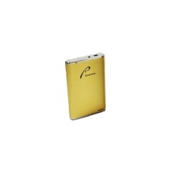 RoverMate Goldy 160Gb