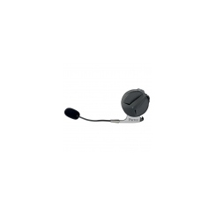 Parrot SK4000