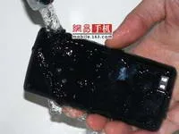 WP812