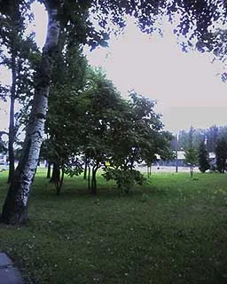 смартфон MiTAC Mio A701