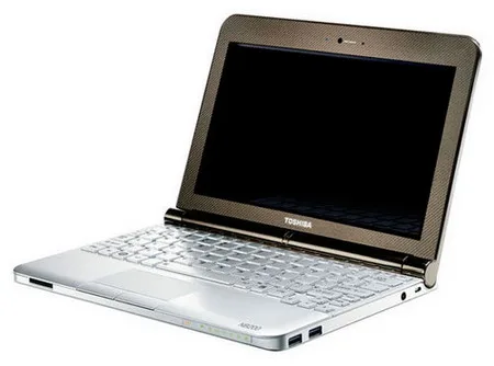 Toshiba Mini NB200