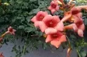 Обзор смартфона Leagoo T5: флагман нового формата — фото 7