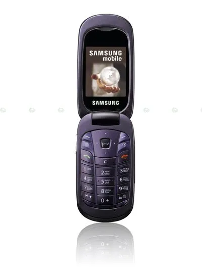 samsung_sgh-l320 samsung_sgh-l320