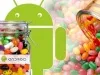 Google анонсировала операционную систему Android 4.1 Jelly Bean — фото 2